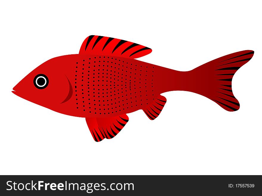 Illustration of pretty fish on isolated background