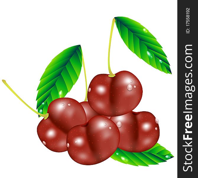 Five realistic cherry berries with leaves and drops of water.Mesh was used. Five realistic cherry berries with leaves and drops of water.Mesh was used.