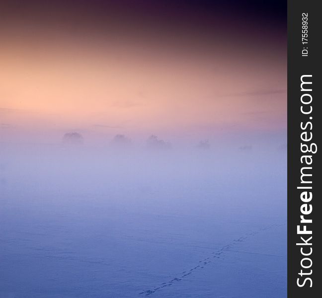 Footprints in a misty landscape