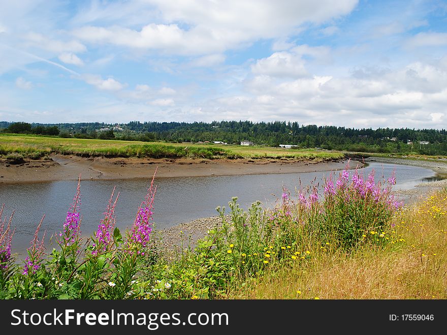 Beautiful River view in British Columbia. Beautiful River view in British Columbia