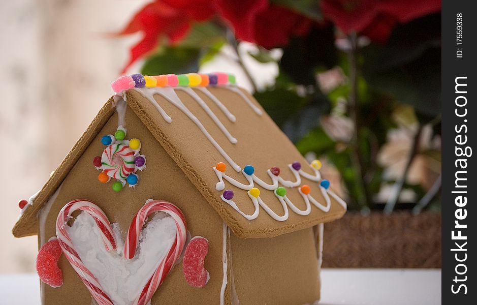 A gingerbread house all decorated with icing and candy.