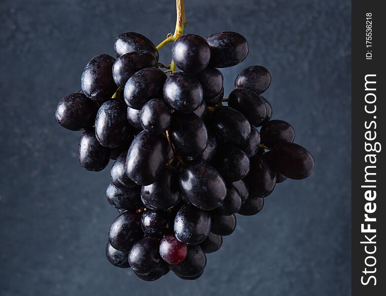 A cluster of juicy black grapes   on a dark gray background.  Photo dark and mood. Front view and macro