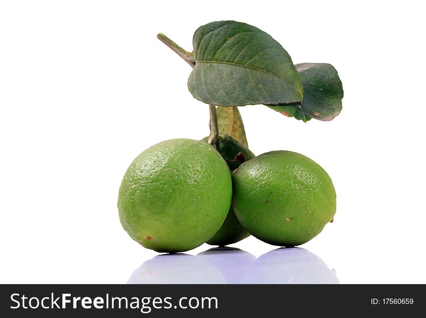 Bunch of fresh lime isolated on white background.