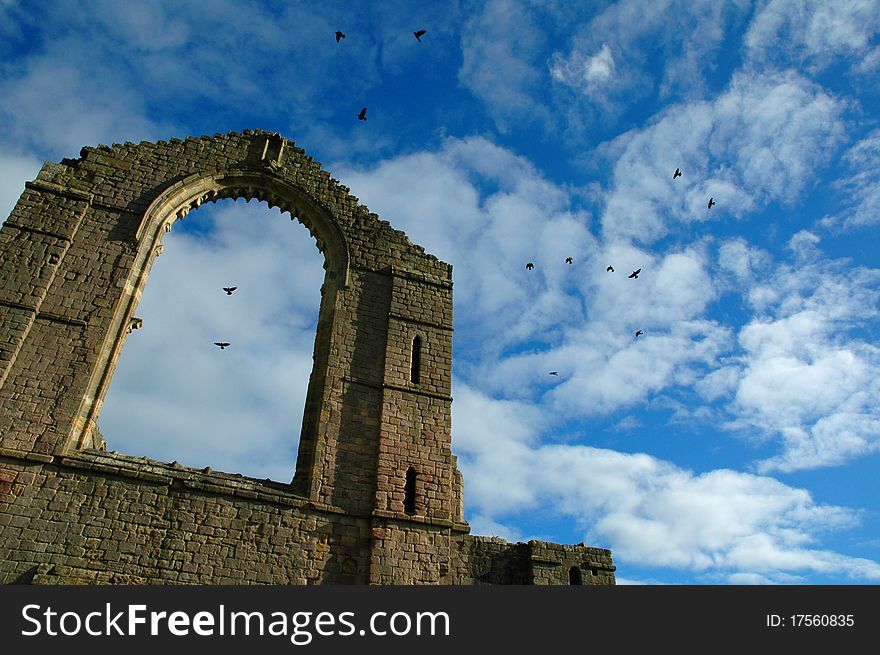 Ruins of old abbey with birds circling the above. Ruins of old abbey with birds circling the above