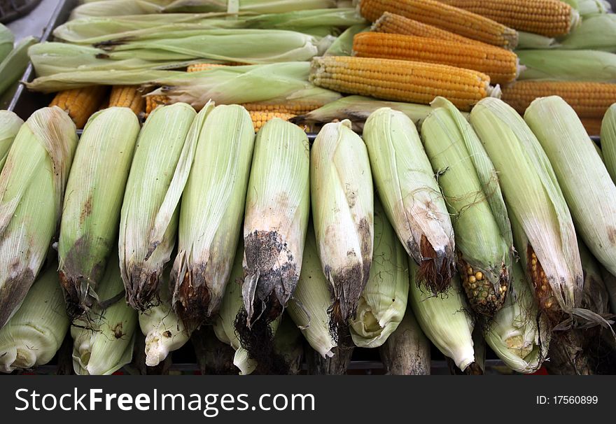 A view of corn. The boiled corn is popular food.