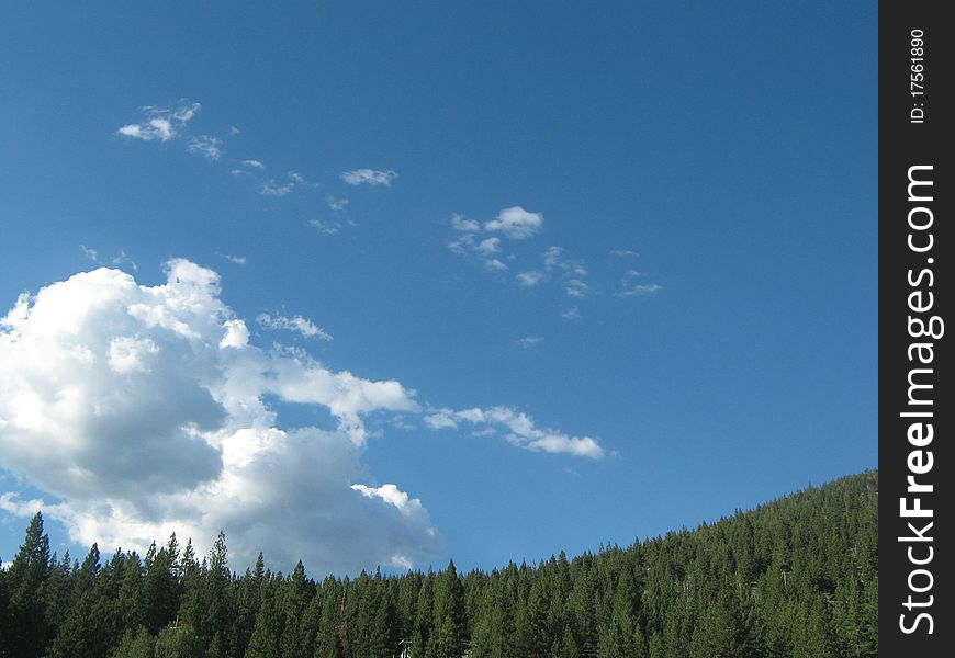 Big beautiful sky over Northern California conifer forest. Big beautiful sky over Northern California conifer forest.