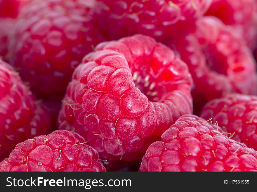 Sweet fresh raspberries macro shot