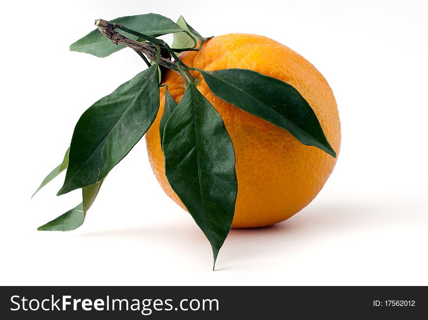 Mature orange with its leaves