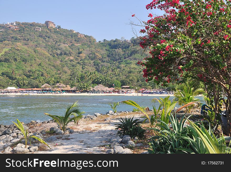 This is an image of a path on La Gatas Beach in Zihuatanejo, Mexico,. This is an image of a path on La Gatas Beach in Zihuatanejo, Mexico,