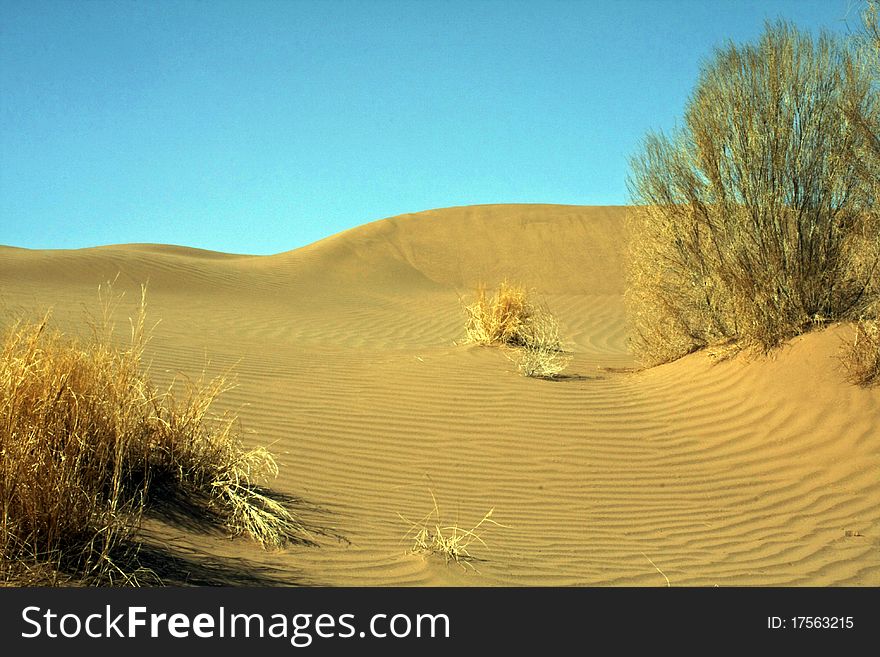 Sand desert in central Iran. Sand desert in central Iran.