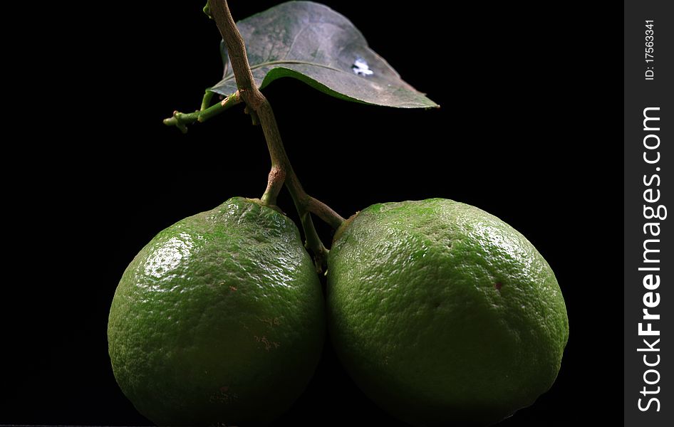 Bunch of fresh lime isolated on black background.