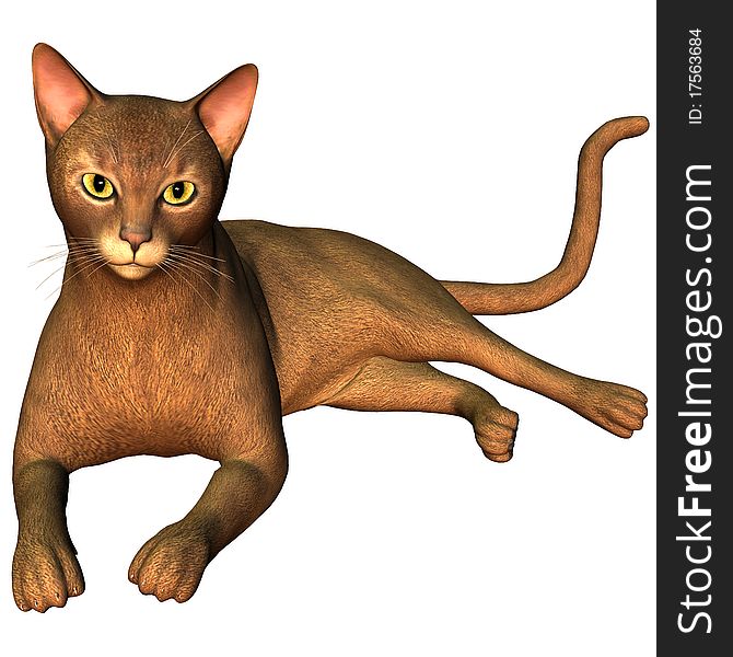 3d rendering a breed cat as illustration. 3d rendering a breed cat as illustration