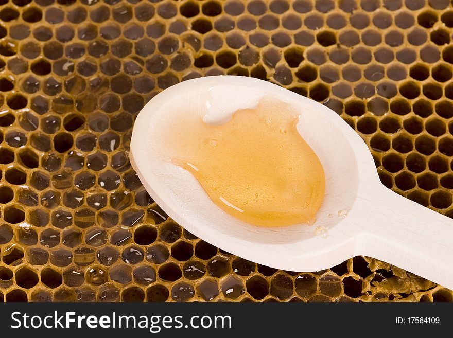 Beautiful yellow patch of honey