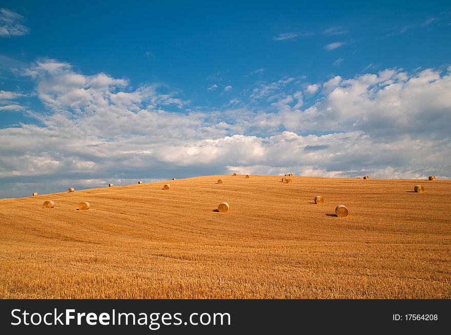 Tuscany Landscape With Many Hay Bales and blue polarized sky. See more in my portfolio. Tuscany Landscape With Many Hay Bales and blue polarized sky. See more in my portfolio