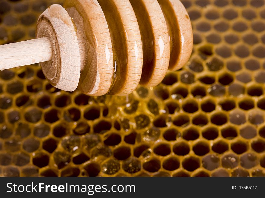 Beautiful yellow patch of honey. Beautiful yellow patch of honey