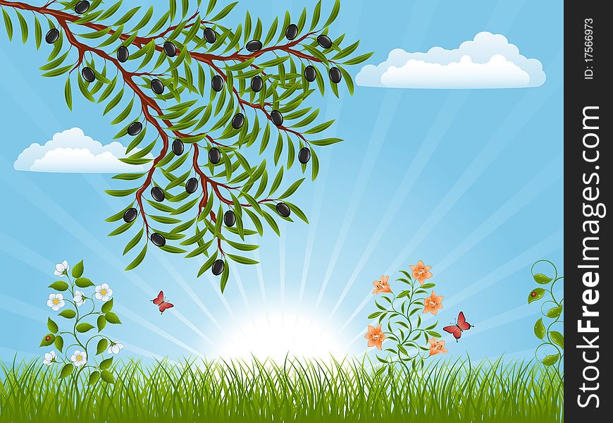 Summer landscape with an olive branch. Vector illustration.