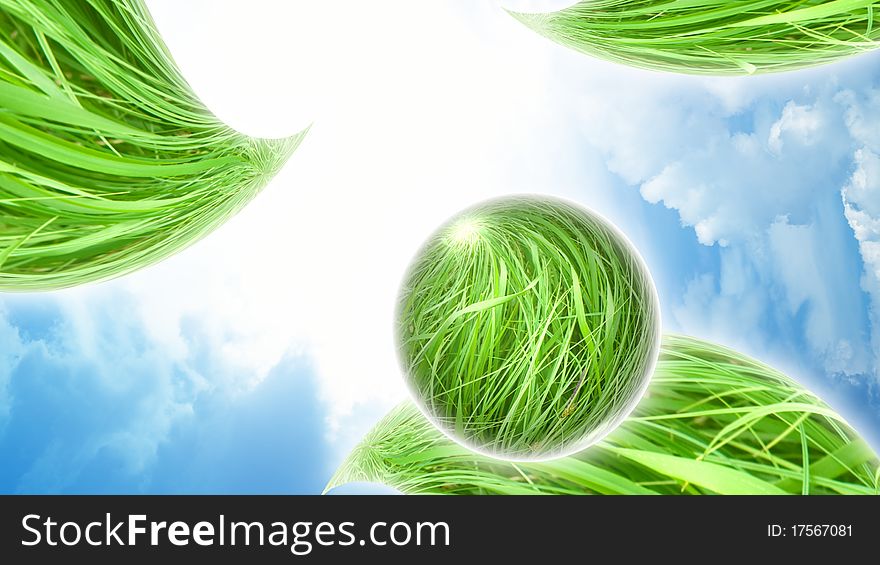 Green grass leaves in blue sky