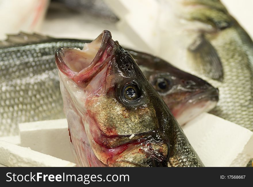 Colored Fish At Market