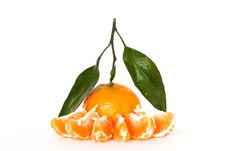 Tangerine With Leafs Royalty Free Stock Photo Tangerine With Leafs Royalty Free Stock Photo