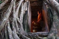 Old Temple Cover By Root Tree, Thailand Royalty Free Stock Image