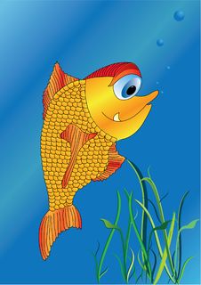 Gold Fish Royalty Free Stock Photography Gold Fish Royalty Free Stock Photography
