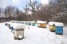 Apiary In Wintertime Stock Photography