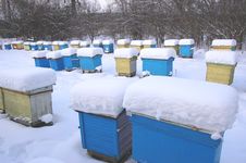 Apiary In Wintertime Stock Images