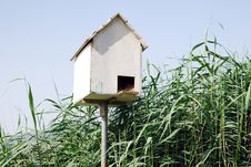 Bird House Royalty Free Stock Photos Bird House Royalty Free Stock Photos