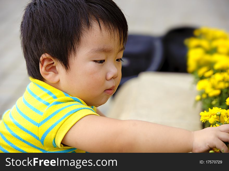 A cute baby is playing in garden