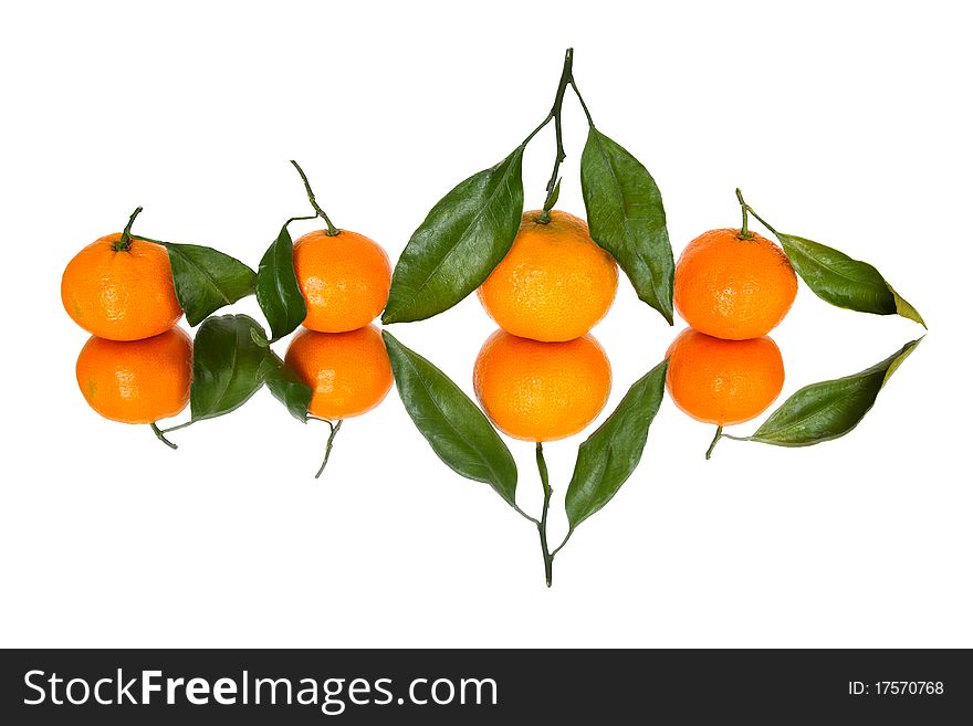 Group of tangerines isolated on white and reflection