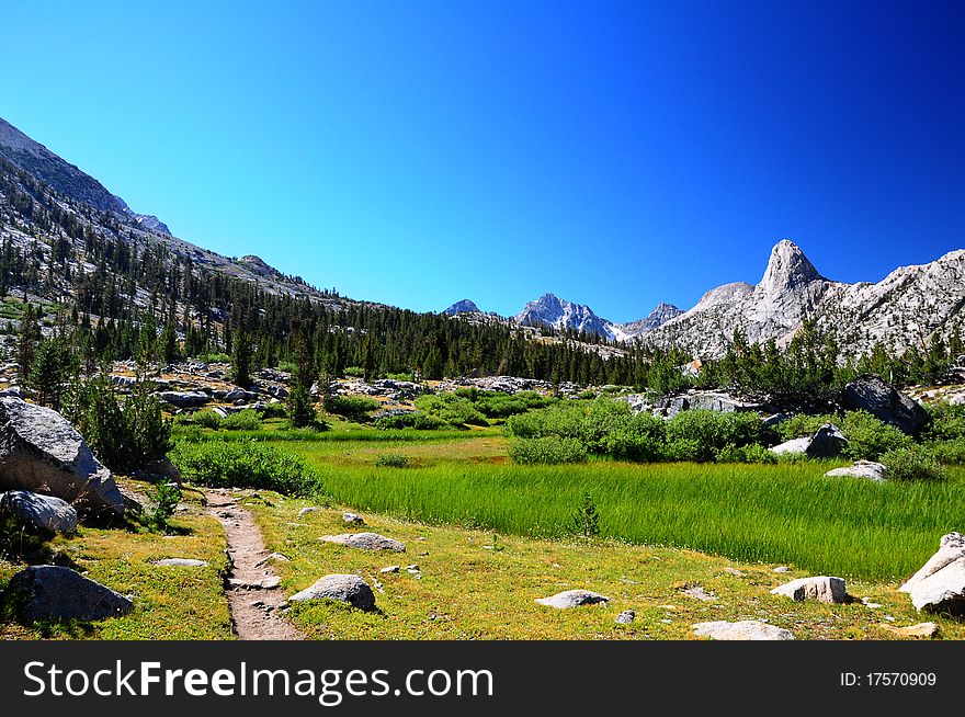 A green grassy meadow found below a mountainous wall. A green grassy meadow found below a mountainous wall