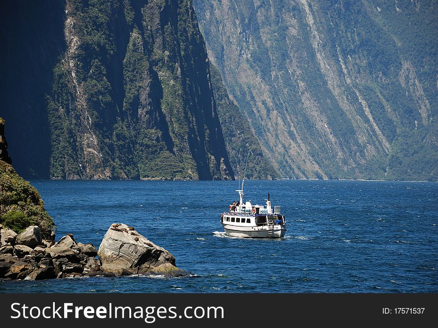 A Ferry Trip To Milford Sound