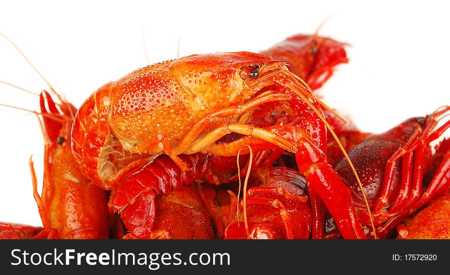 Closeup background a lot of red boiled crayfishes. Studio shoot. Closeup background a lot of red boiled crayfishes. Studio shoot.