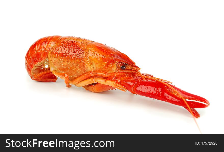 One craw fish isolated n he white background. One craw fish isolated n he white background.