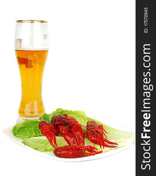 Crawfish And Beer
