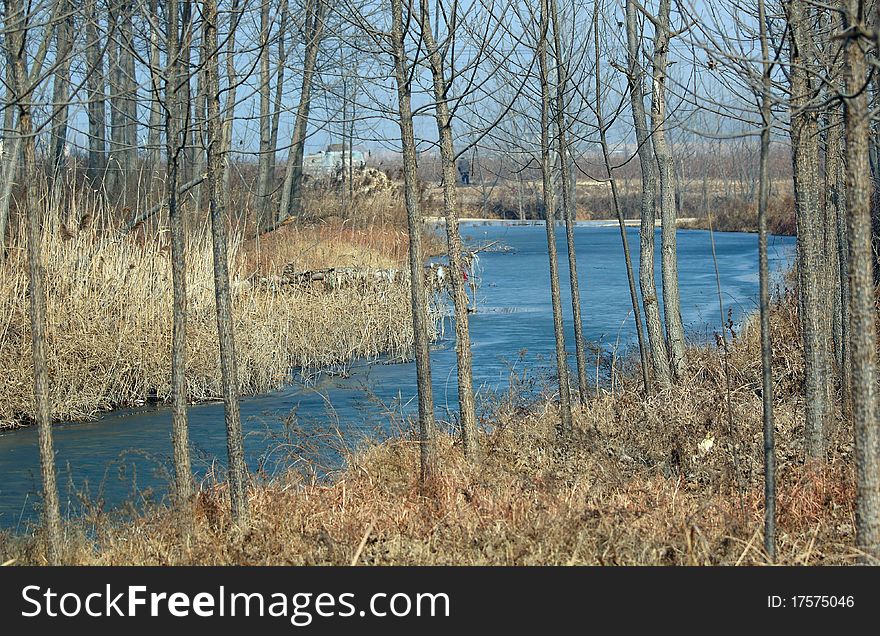 Winter scenery,sunny weather day.