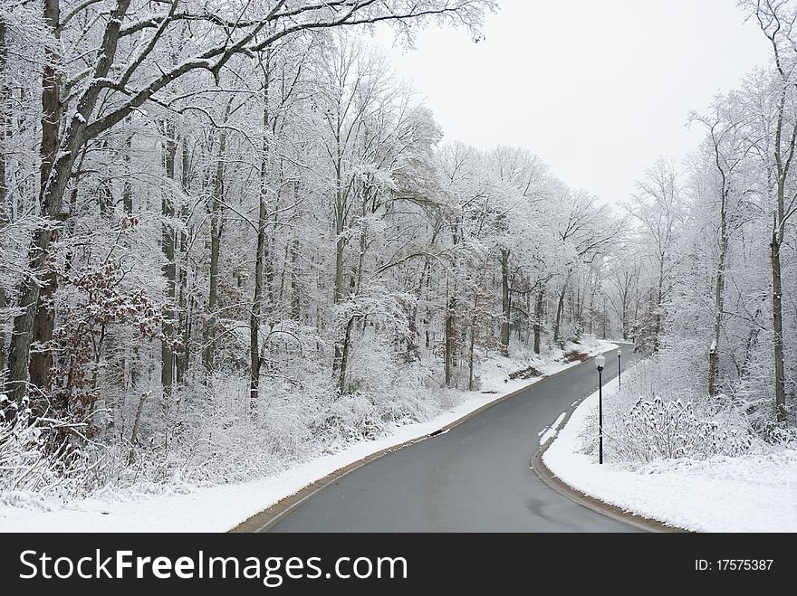 Road leading through forest on a wintry day. Road leading through forest on a wintry day