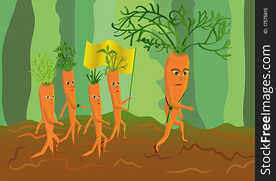 Genetically modified carrots general and its army. Genetically modified carrots general and its army