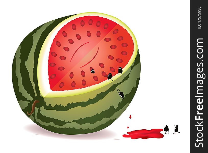 Six alive seeds escape from GMO water-melon. Six alive seeds escape from GMO water-melon