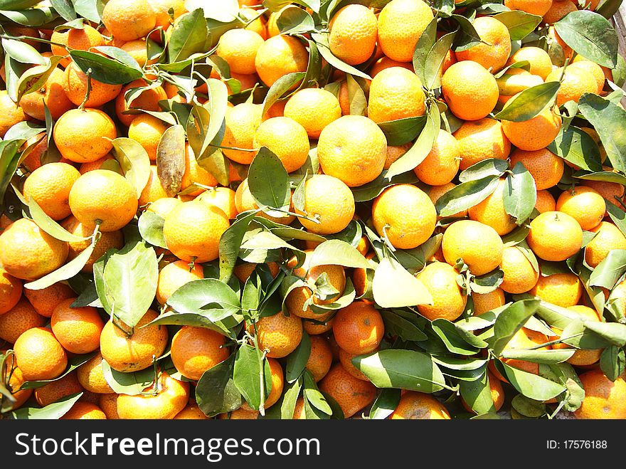 Oranges. A pile of oranges, this is one that people like to eat the fruit.