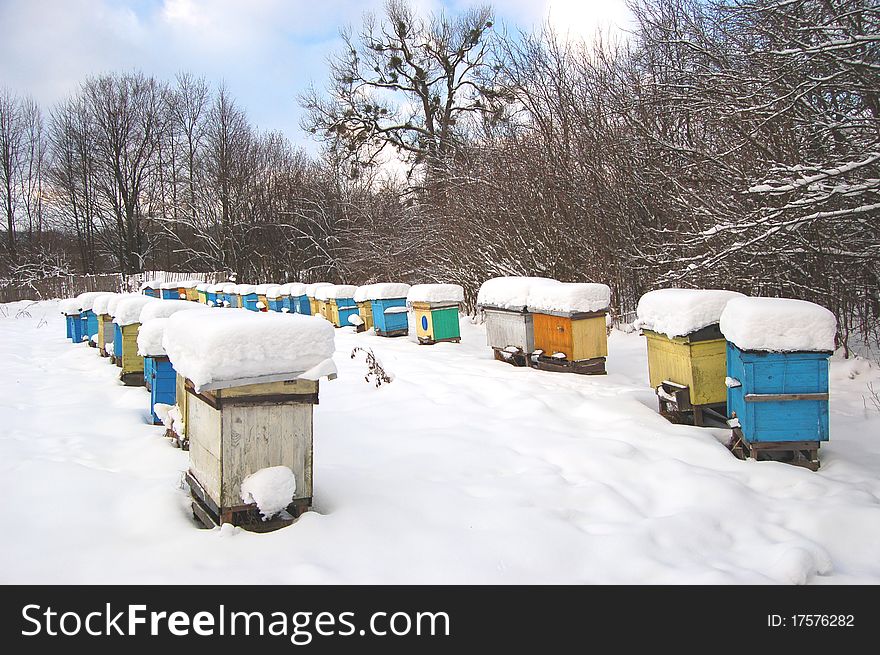 Beehives covered with snow in wintertime. Beehives covered with snow in wintertime