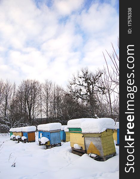 Beehives covered with snow in wintertime. Beehives covered with snow in wintertime