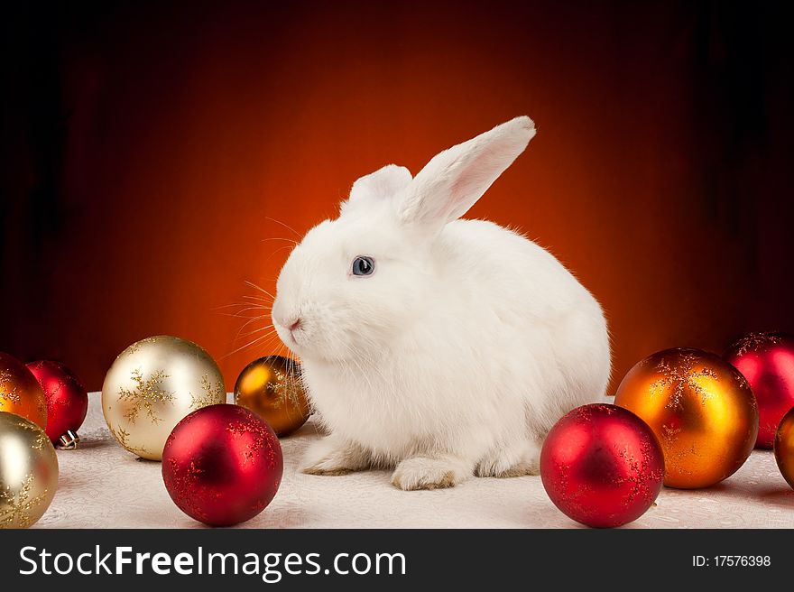 White new year rabbit with the christmas-tree decorations on orange background. White new year rabbit with the christmas-tree decorations on orange background