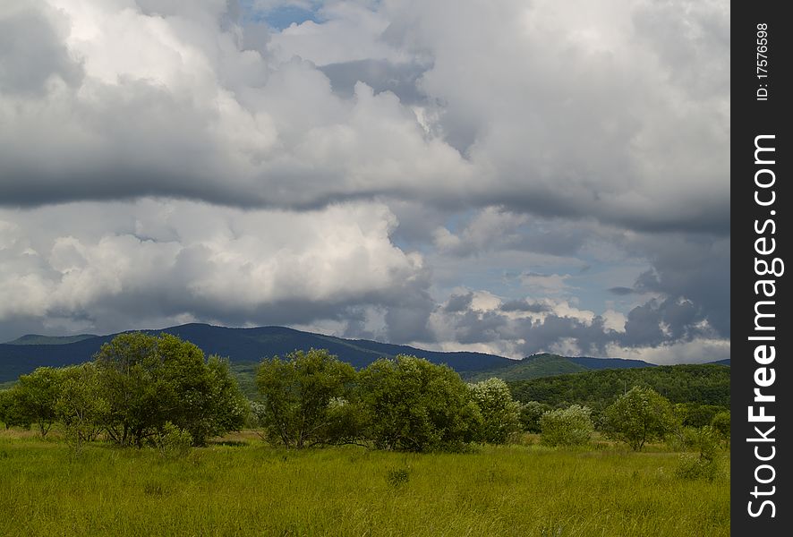 Summer Meadows Under The Cloudy Sky