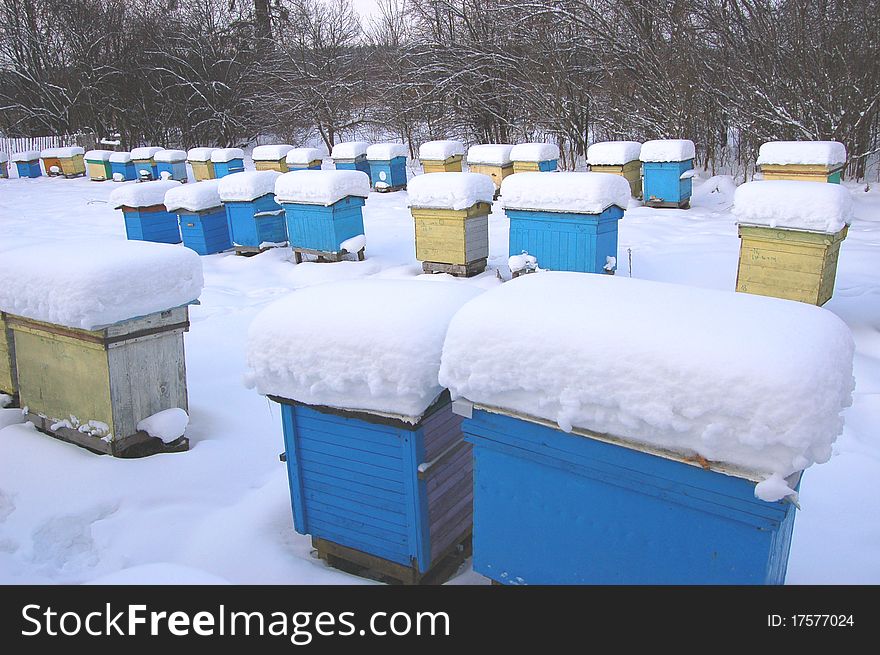 Beehives covered with snow in wintertime. Beehives covered with snow in wintertime