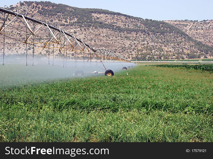 Watering of the green on a background of brown mountains. Watering of the green on a background of brown mountains