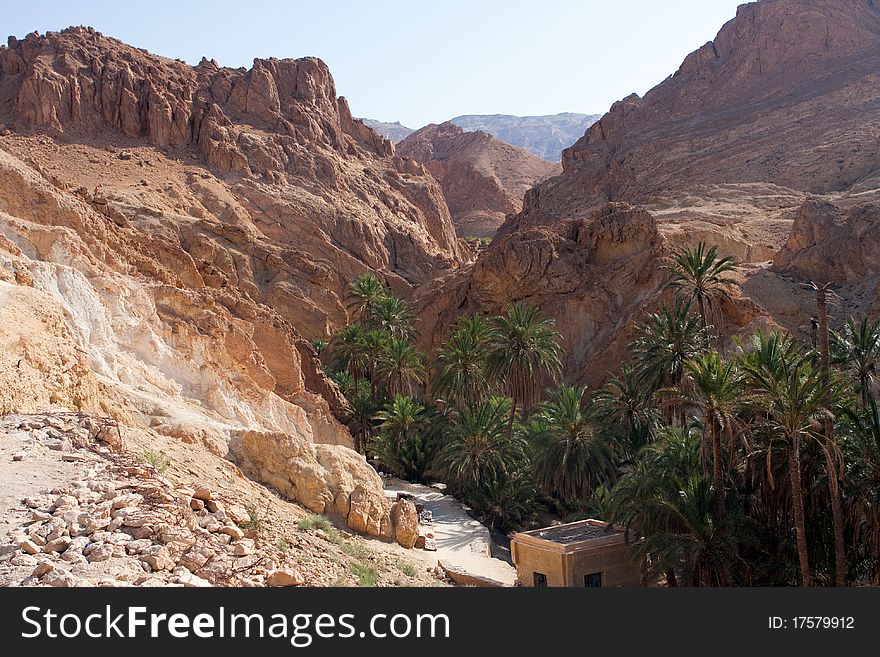 A green valley in the atlas mountains