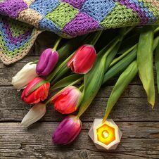 Multi-colored Tulips On A Dark Wooden Substrate. Stock Photos