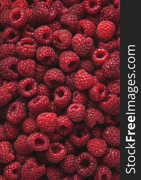 Fresh raspberry background, top view