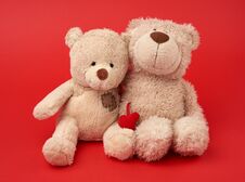 Two Teddy Beige Bears Sitting Huddled Together Stock Photography